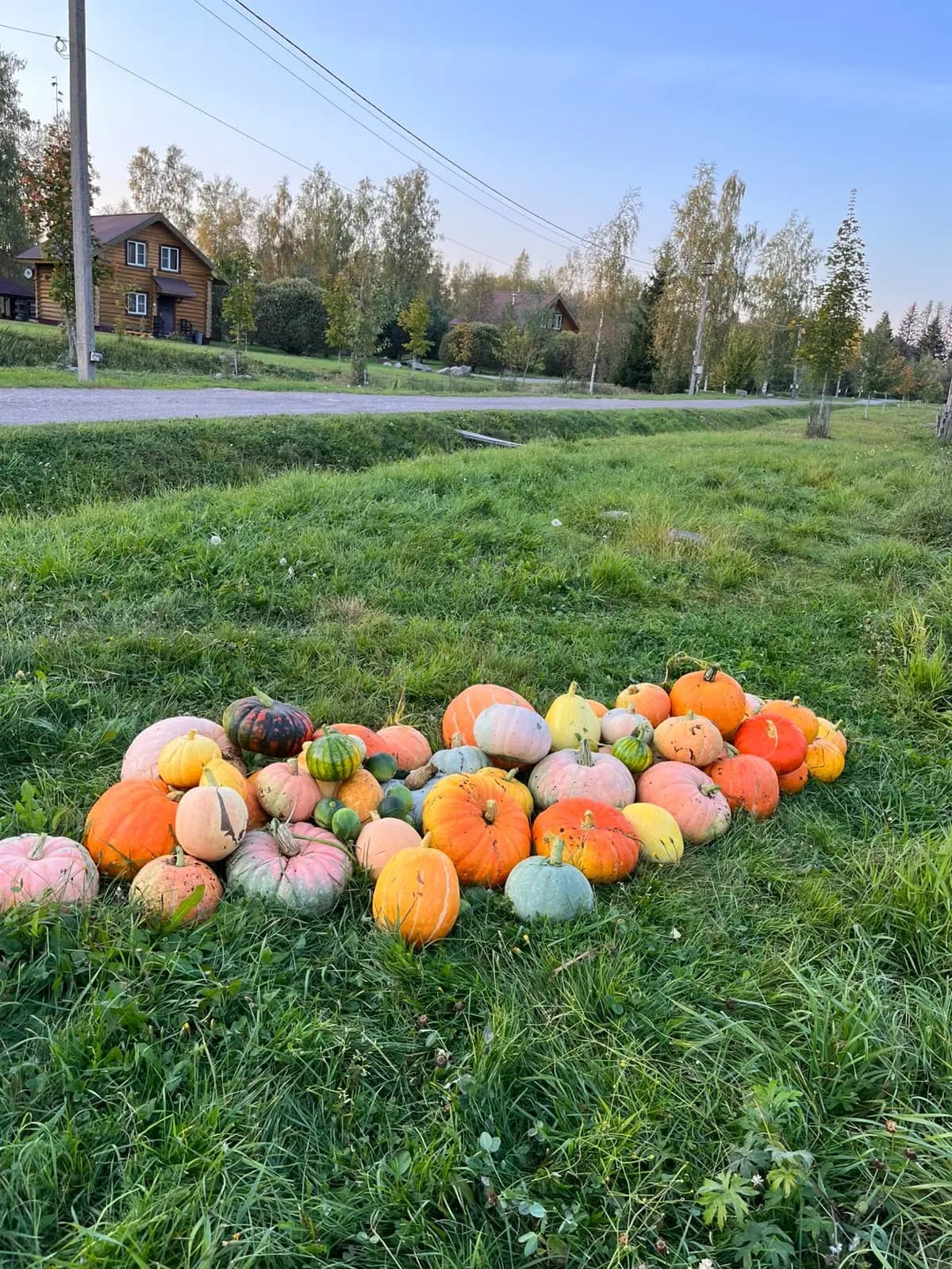 ЭКО-огород в Озерном